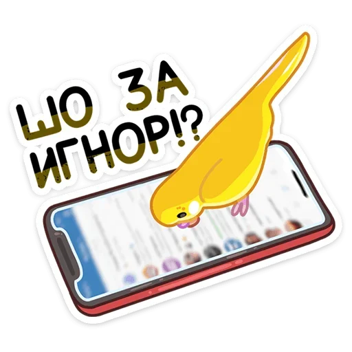 Sticker from the "Попуги" sticker pack