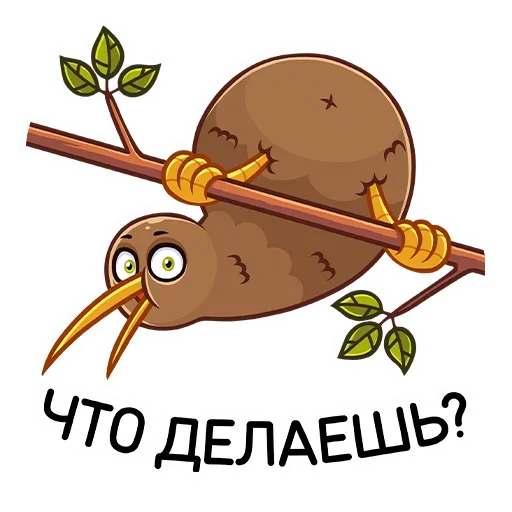 Sticker from the "Киви Стиви" sticker pack