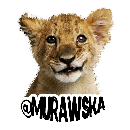 Sticker from the "Lion life" sticker pack