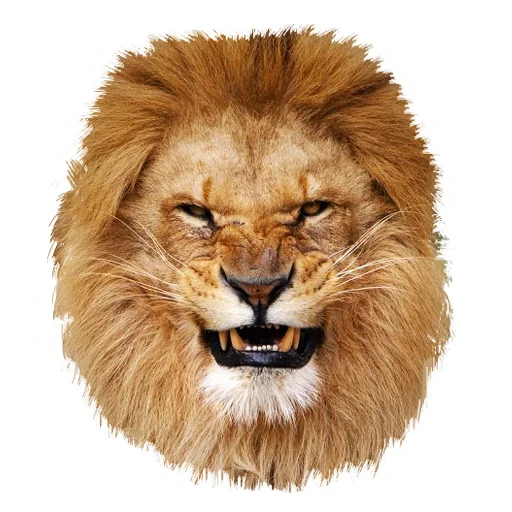 Sticker from the "Lion life" sticker pack