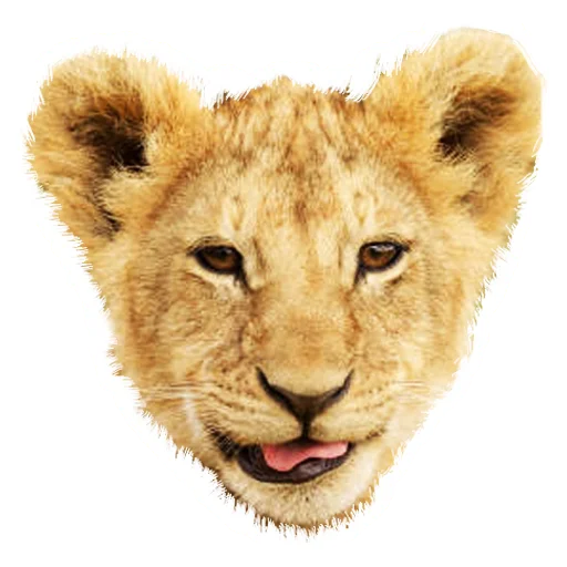 Sticker from the "Lion life" sticker pack