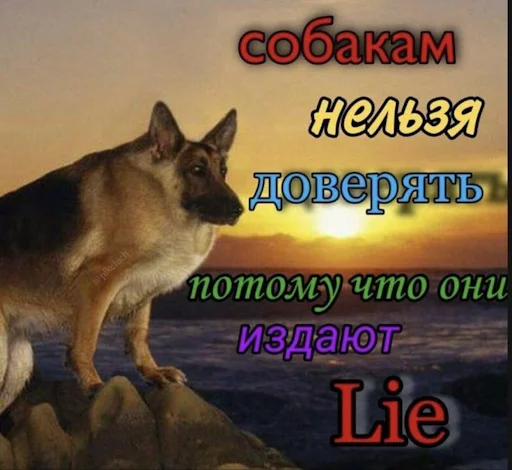 Sticker from the "Лол кек чебурек" sticker pack