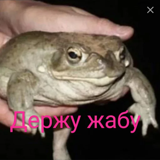 Sticker from the "Лол кек чебурек" sticker pack