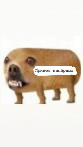 Sticker from the "Лол кек чебурек" sticker pack