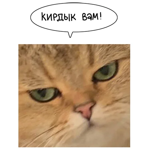 Sticker from the "Laksheri_realkotaksheri" sticker pack