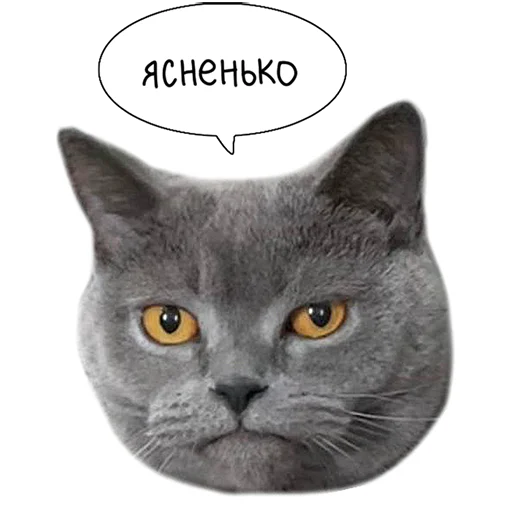 Sticker from the "Laksheri_realkotaksheri" sticker pack