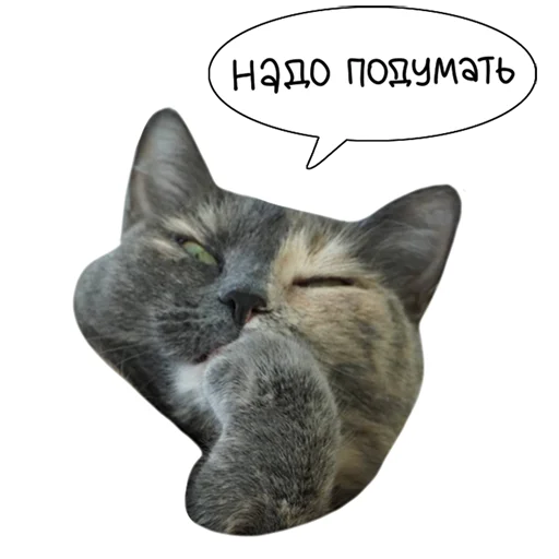 Sticker from the "Laksheri_realkotaksheri" sticker pack