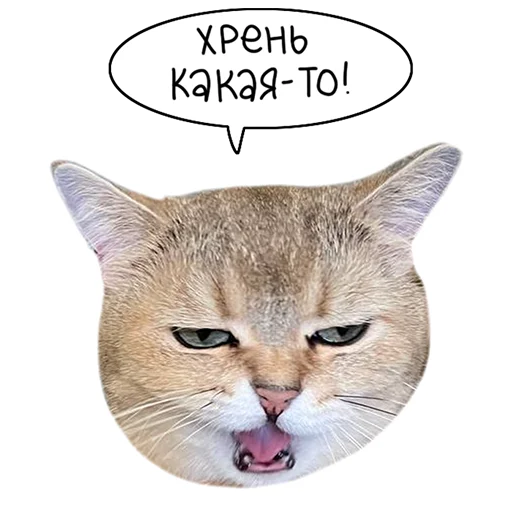 Sticker from the "Laksheri_realkotaksheri" sticker pack