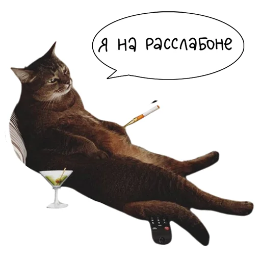 Sticker from the "Laksheri_realkotaksheri" sticker pack