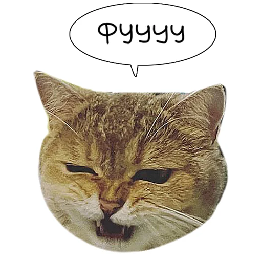 Sticker from the "Laksheri_realkotaksheri" sticker pack