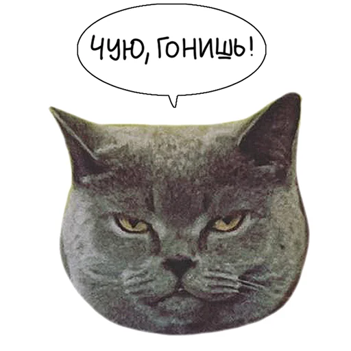 Sticker from the "Laksheri_realkotaksheri" sticker pack