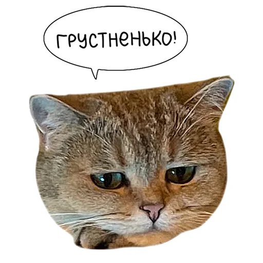 Sticker from the "Laksheri_realkotaksheri" sticker pack