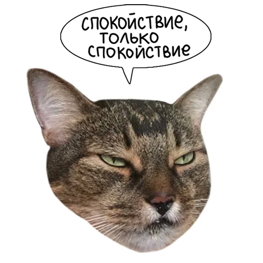 Sticker from the "Laksheri_realkotaksheri" sticker pack