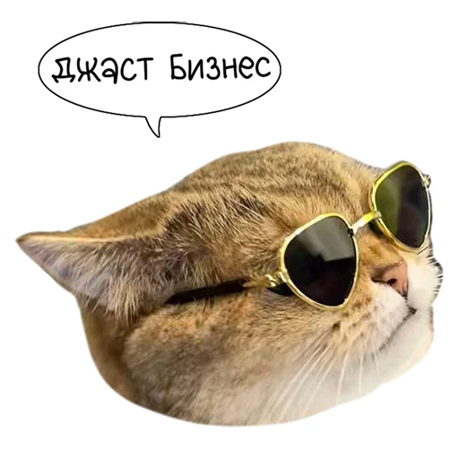 Sticker from the "Laksheri_realkotaksheri" sticker pack