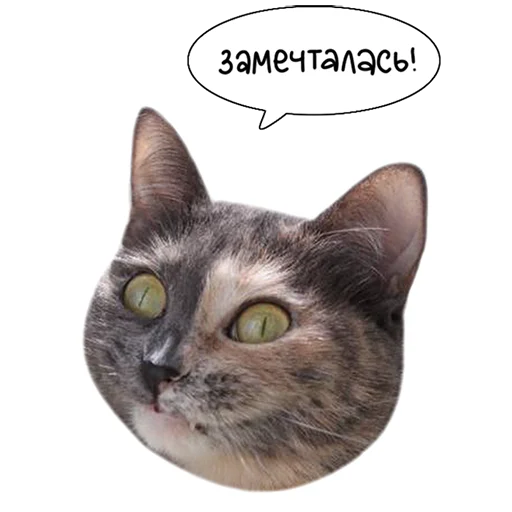 Sticker from the "Laksheri_realkotaksheri" sticker pack