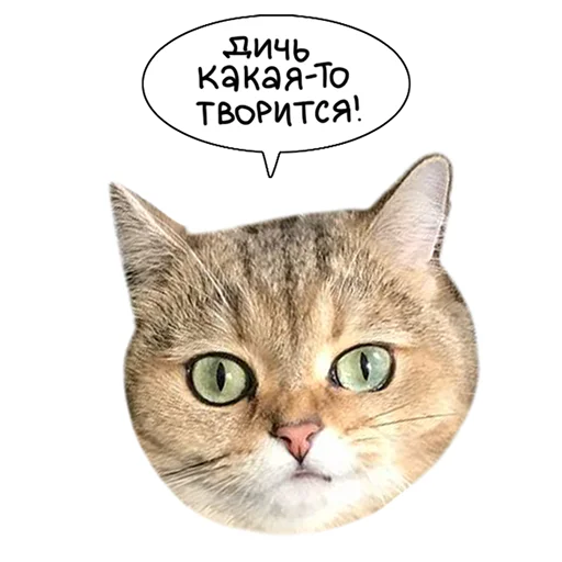 Sticker from the "Laksheri_realkotaksheri" sticker pack