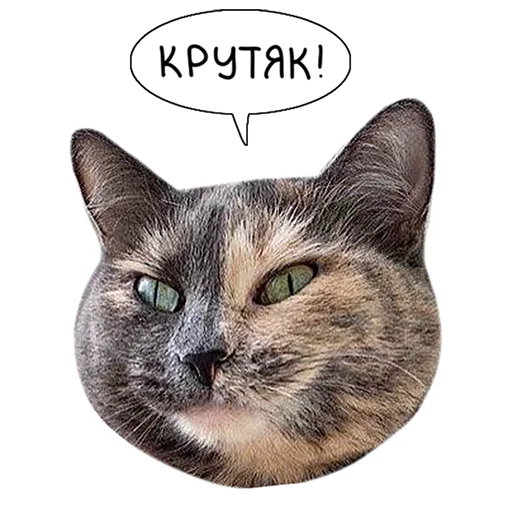 Sticker from the "Laksheri_realkotaksheri" sticker pack