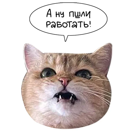 Sticker from the "Laksheri_realkotaksheri" sticker pack