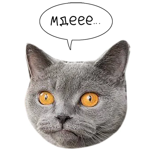 Sticker from the "Laksheri_realkotaksheri" sticker pack