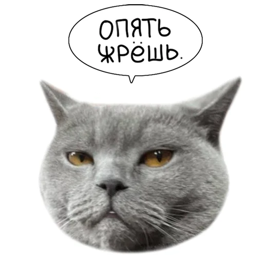 Sticker from the "Laksheri_realkotaksheri" sticker pack