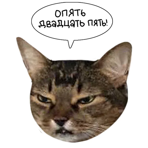 Sticker from the "Laksheri_realkotaksheri" sticker pack