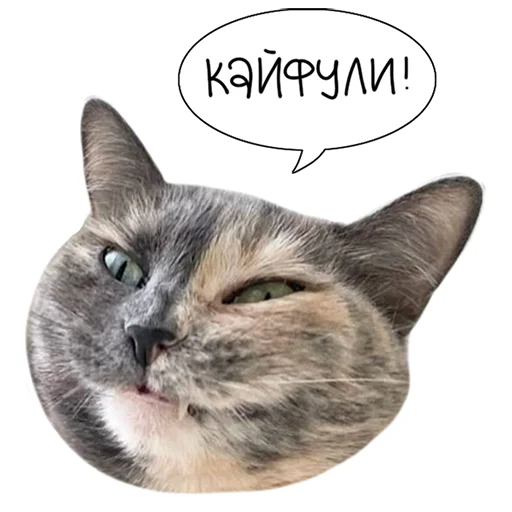 Sticker from the "Laksheri_realkotaksheri" sticker pack