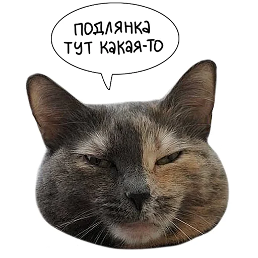 Sticker from the "Laksheri_realkotaksheri" sticker pack