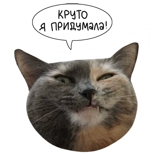 Sticker from the "Laksheri_realkotaksheri" sticker pack