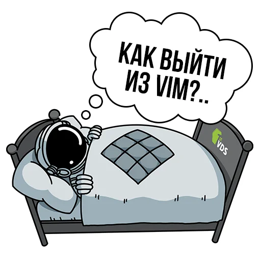 Sticker from the "FirstVDS - космос, хостинг и котики🐈" sticker pack