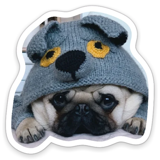 Sticker from the "sad_pug_leonid" sticker pack