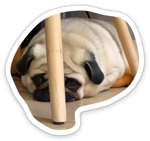 Sticker from the "sad_pug_leonid" sticker pack