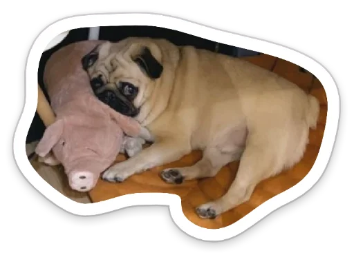 Sticker from the "sad_pug_leonid" sticker pack