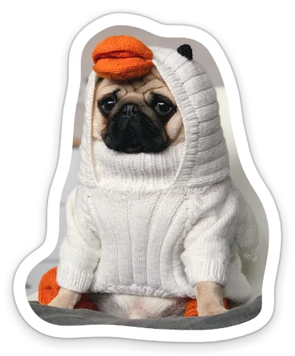 Sticker from the "sad_pug_leonid" sticker pack