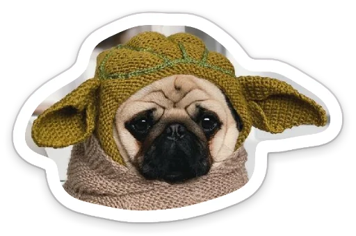 Sticker from the "sad_pug_leonid" sticker pack