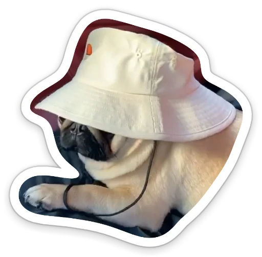 Sticker from the "sad_pug_leonid" sticker pack