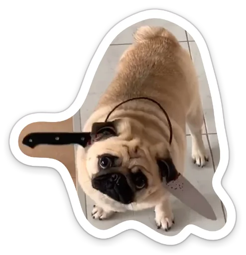 Sticker from the "sad_pug_leonid" sticker pack