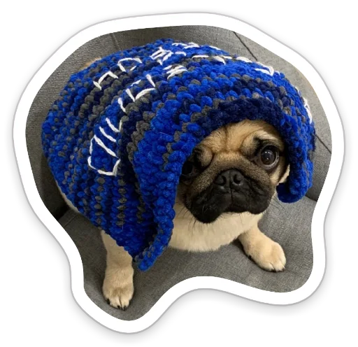 Sticker from the "sad_pug_leonid" sticker pack