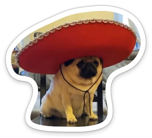 Sticker from the "sad_pug_leonid" sticker pack