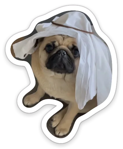 Sticker from the "sad_pug_leonid" sticker pack