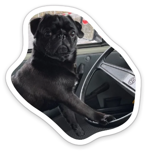 Sticker from the "sad_pug_leonid" sticker pack