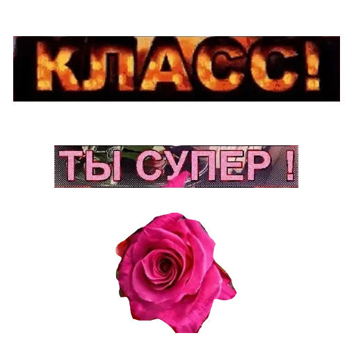 Sticker from the "ГОВОРИЛКА" sticker pack