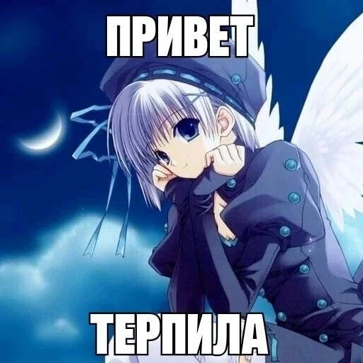 Sticker from the "тру няшки😍😘" sticker pack