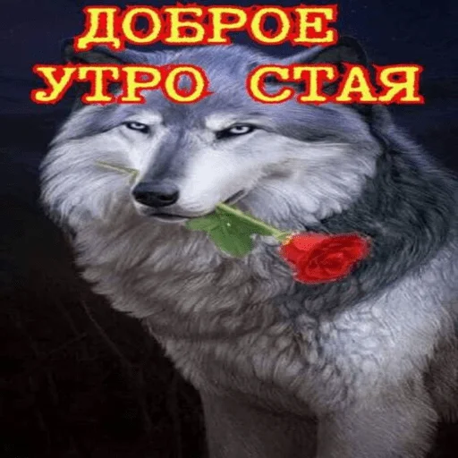 Sticker from the "ахуенна ууоуоу" sticker pack