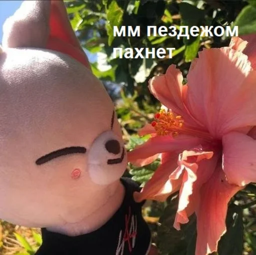 Sticker скзуворлддоминейшен