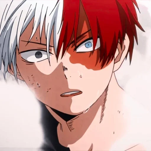 Sticker from the "Shouto Todoroki" sticker pack