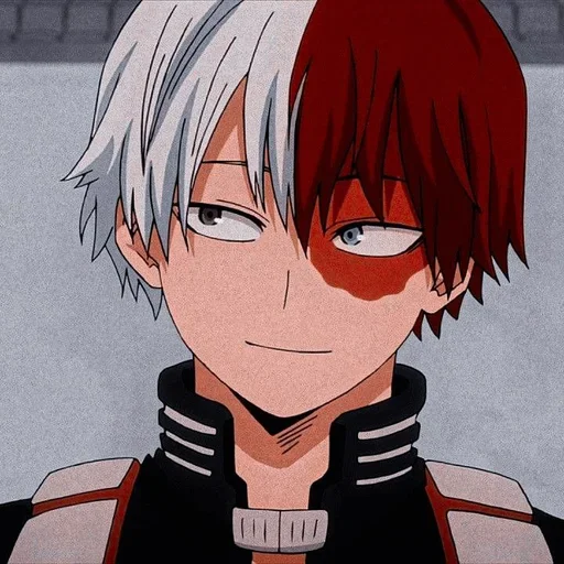 Sticker from the "Shouto Todoroki" sticker pack