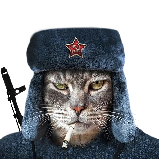 Sticker from the "Котейки" sticker pack