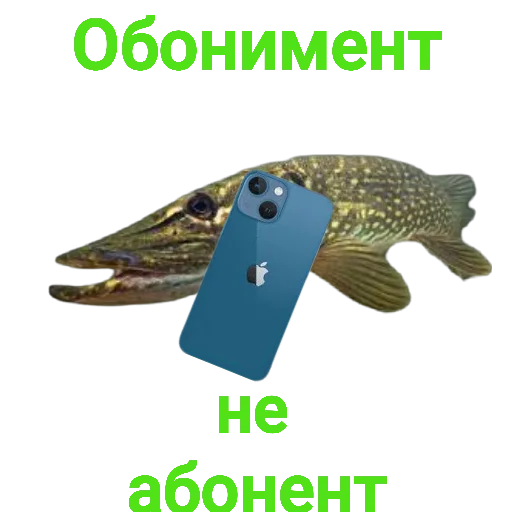 Sticker from the "Щука и Окунь | Мемы" sticker pack