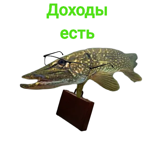 Sticker from the "Щука и Окунь | Мемы" sticker pack