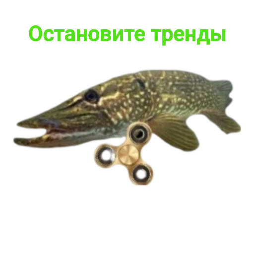 Sticker Щука и Окунь | Мемы